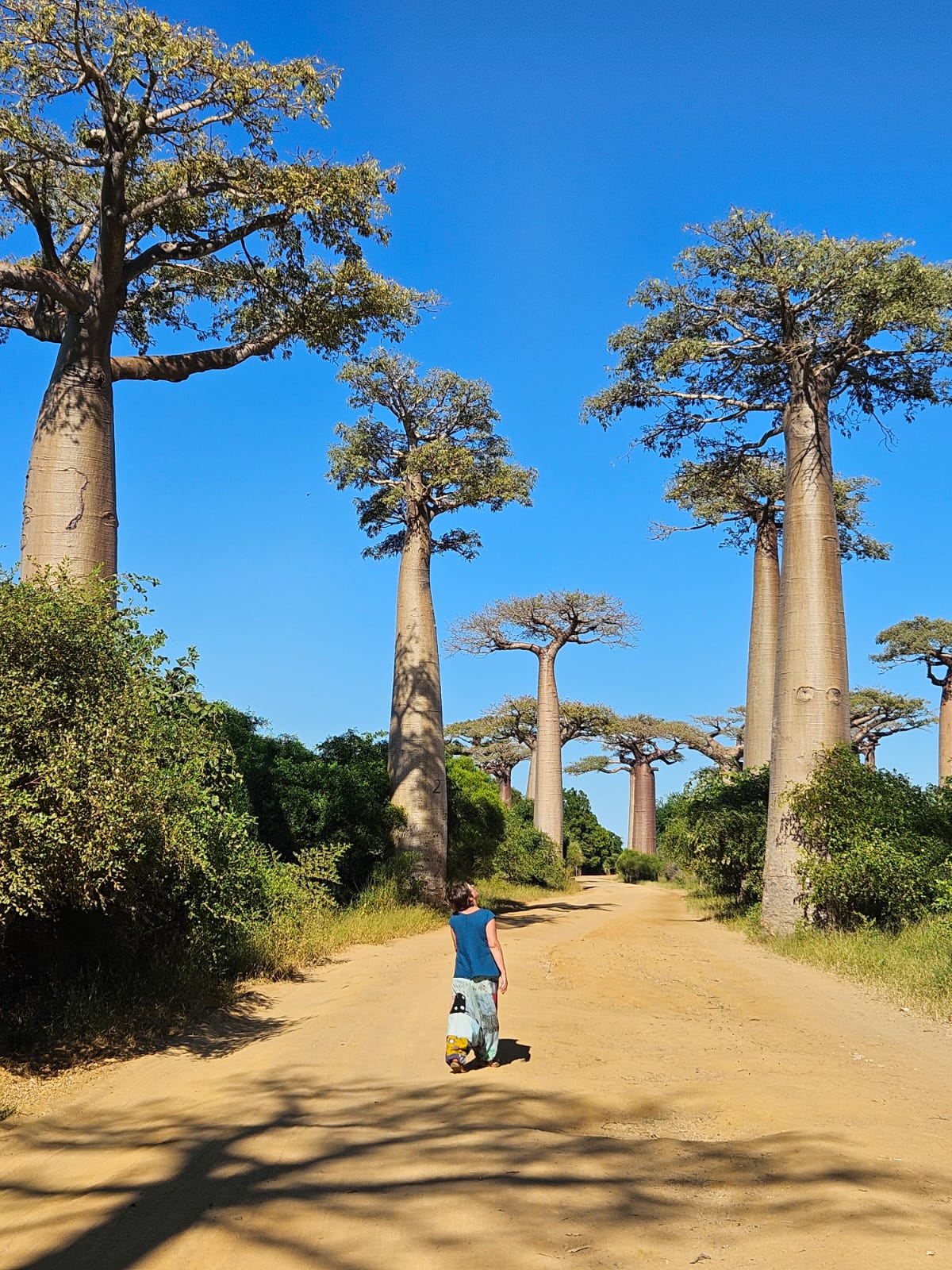Grand Madagascar Loop Expedition