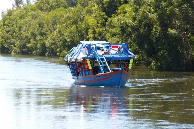 Rainforest & Sainte-Marie Honeymoon