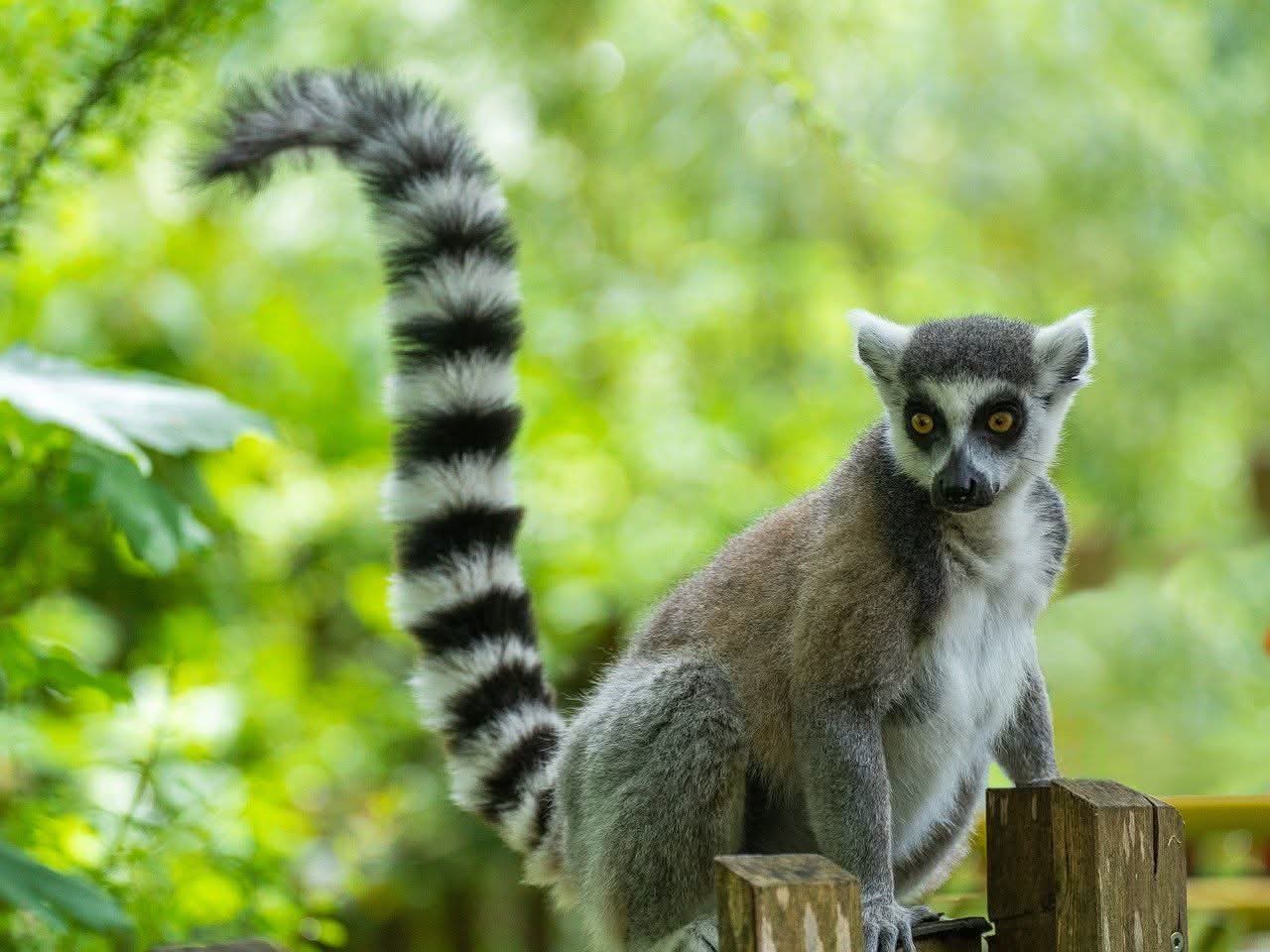 Anja Community Reserve