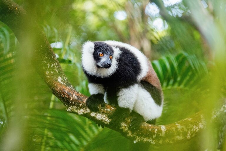 Masoala National Park
