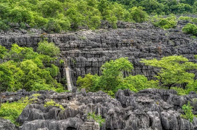 Northern Madagascar Grand Nature & Islands