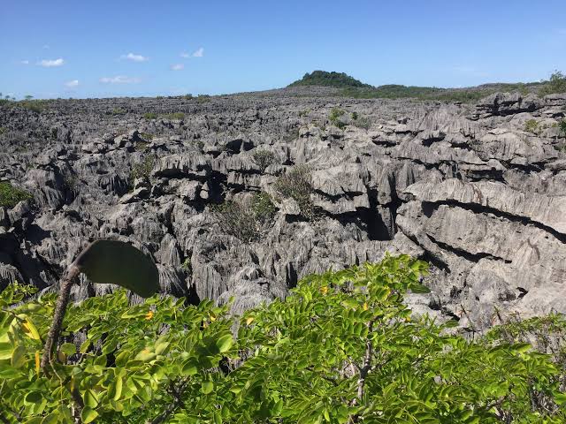 Ankarana National Park