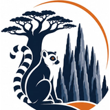 Tsingy Safari Madagascar